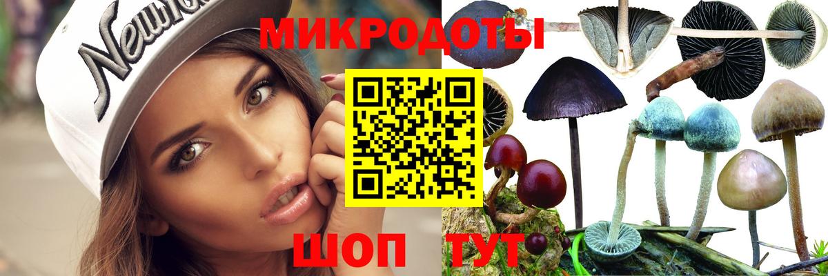 Галлюциногенные грибы GOLDEN TEACHER  Вход с VPN  Химки 